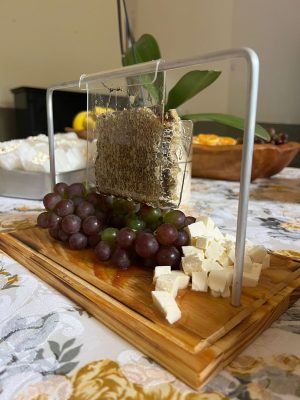 SUPORTE DOMÉSTICO PARA FAVO DE MEL