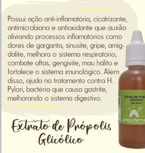 EXTRATO DE PRÓPOLIS SEM ALCOOL