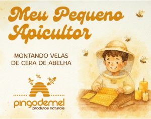KIT MEU PEQUENO APICULTOR